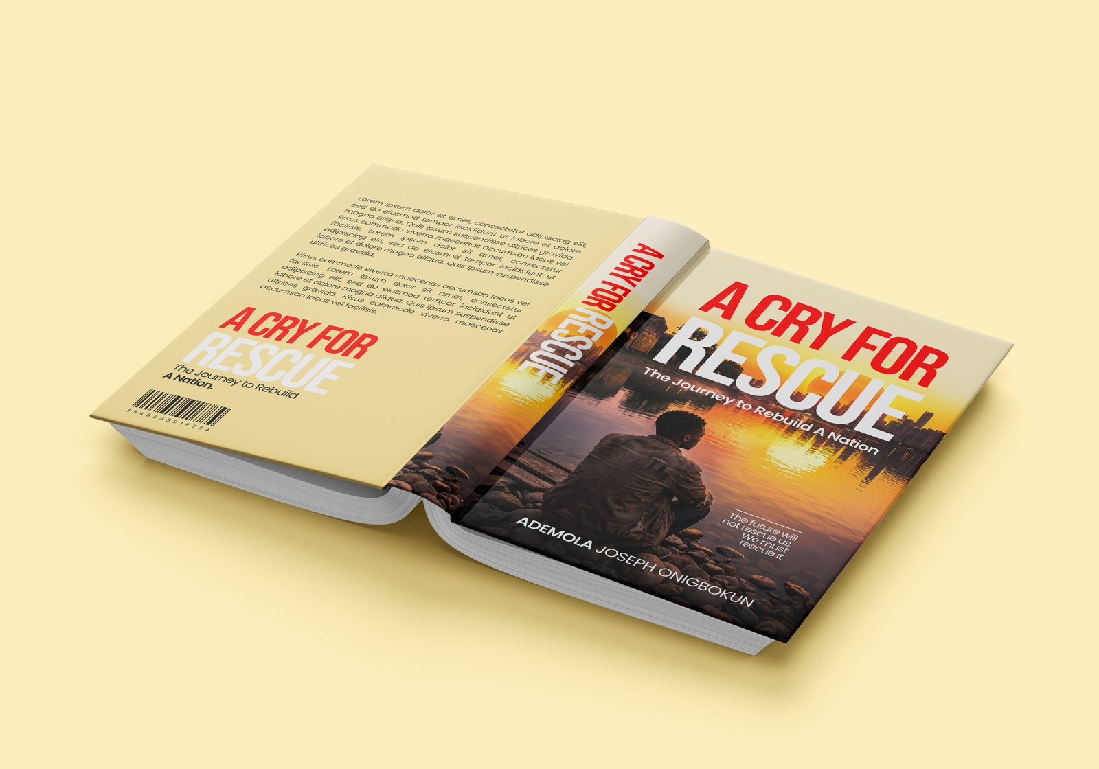 Front and back cover spread of A Cry For Rescue